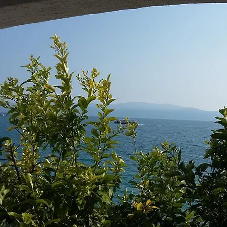Vrisak *